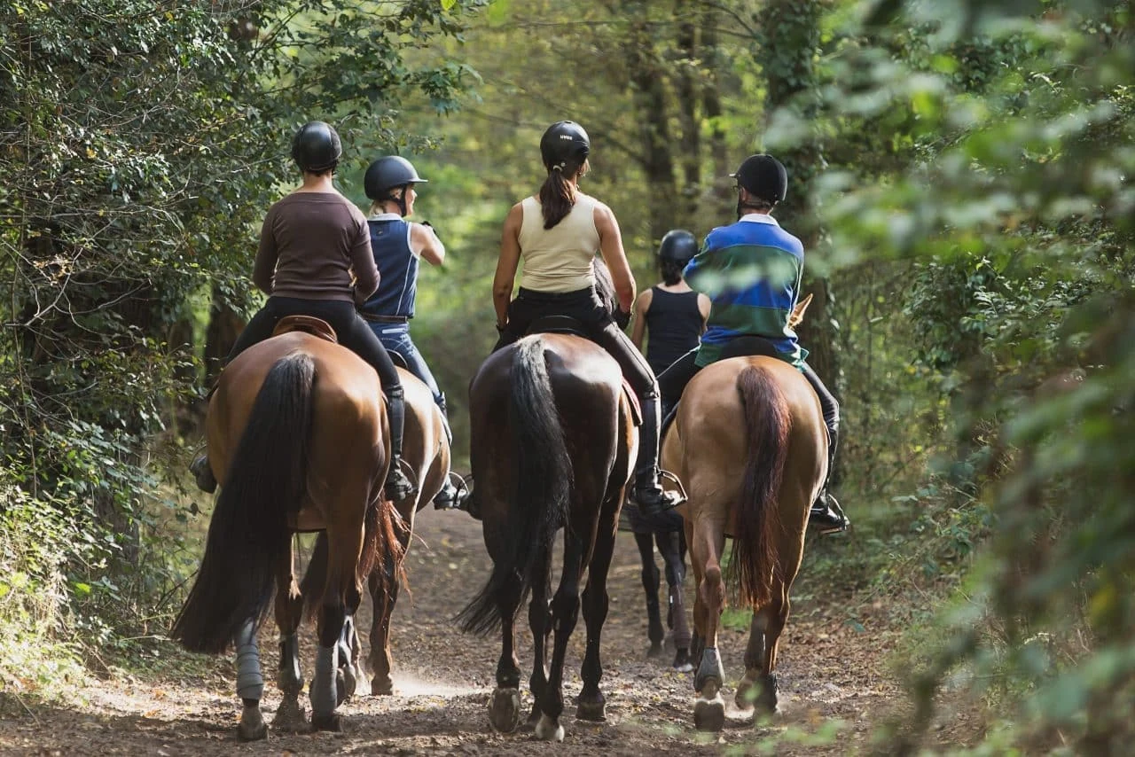 Promenade à cheval, photographie de la fiche historique Horse Holidays France