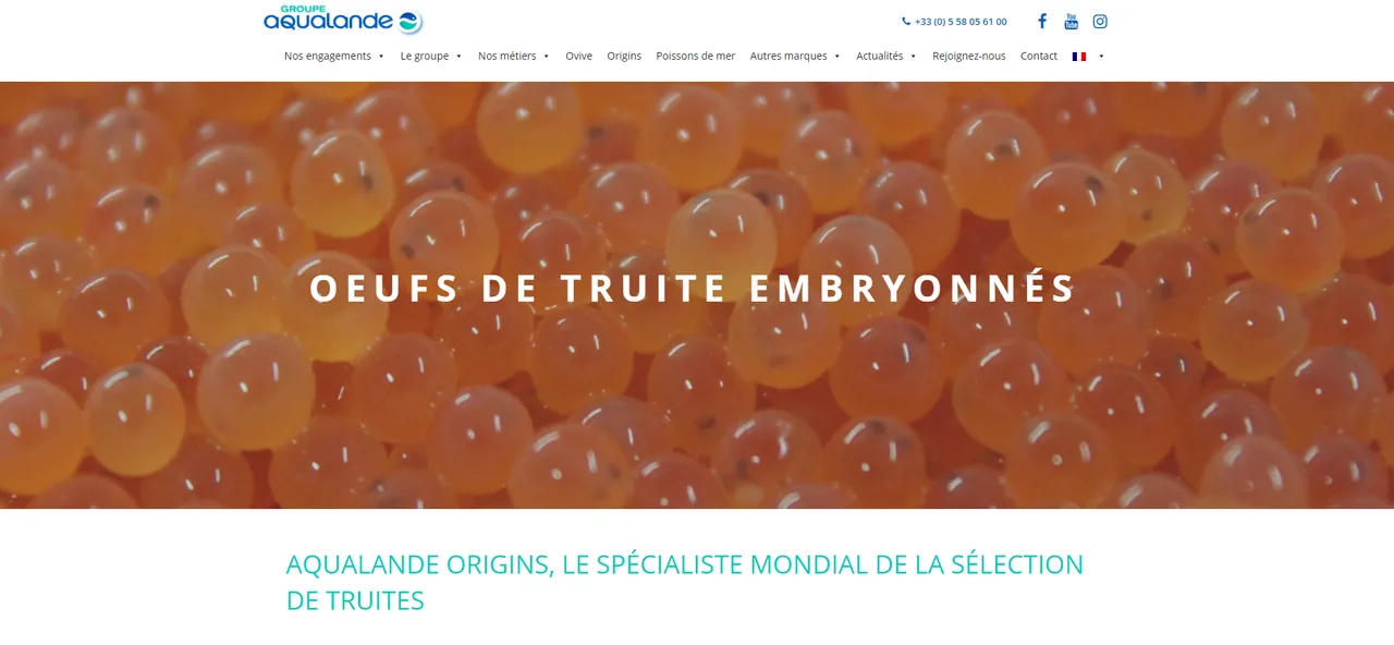 Page du site Aqualande Origins