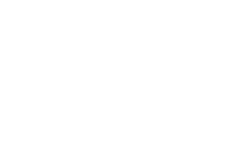 GTMetrix