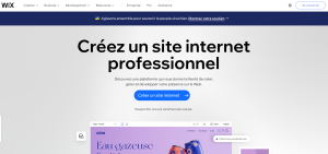 CMS Populaires - HomePage du site Wix